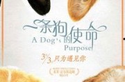 娱乐吃瓜酱去世的小狗
